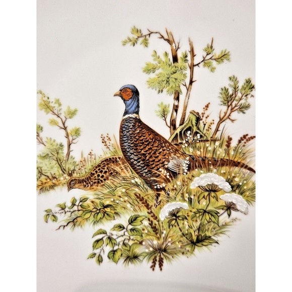Pair of Bareuther Waldsassen Bavaria Germany Plate #254 Quail & Pheasant (read) - Picture 3 of 6